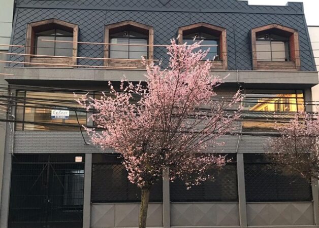 SE ARRIENDA EDIFICIO 460 M2, TOTAL Ó PARCIAL, TEMUCO