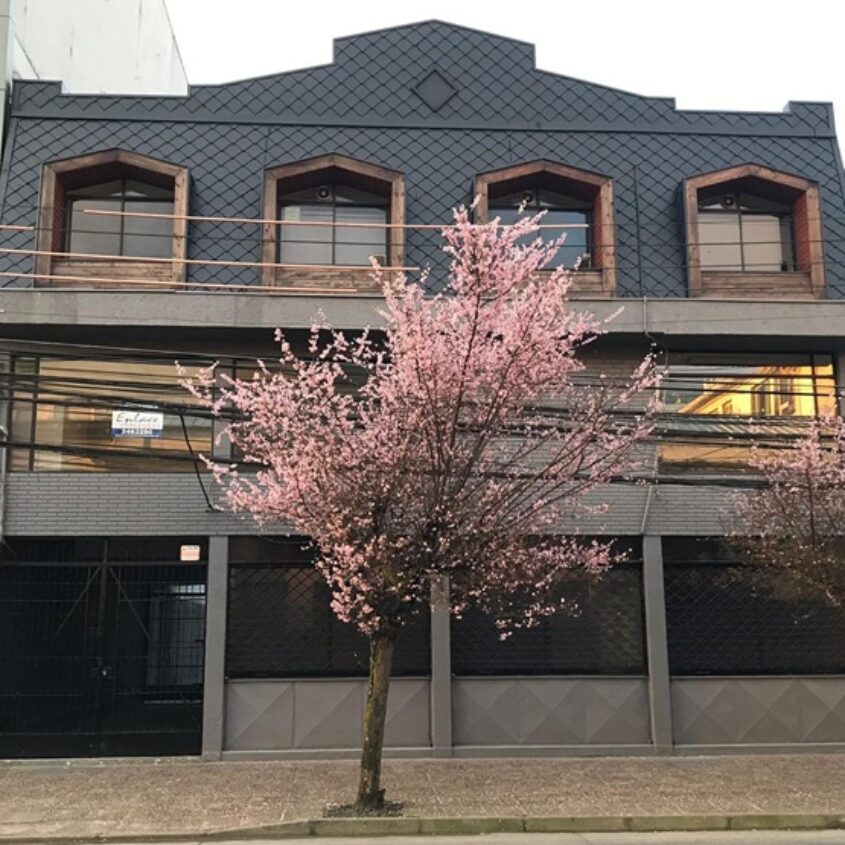 SE ARRIENDA EDIFICIO 460 M2, TOTAL Ó PARCIAL, TEMUCO