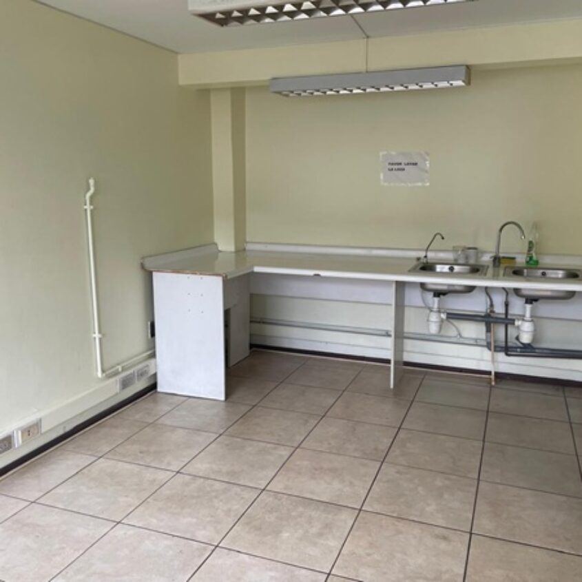 SE ARRIENDA EDIFICIO 460 M2, TOTAL Ó PARCIAL, TEMUCO
