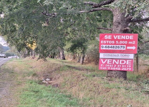SE VENDE TERRENO ORILLA RUTA VILLARRICA A FREIRE, 5.000 M2.