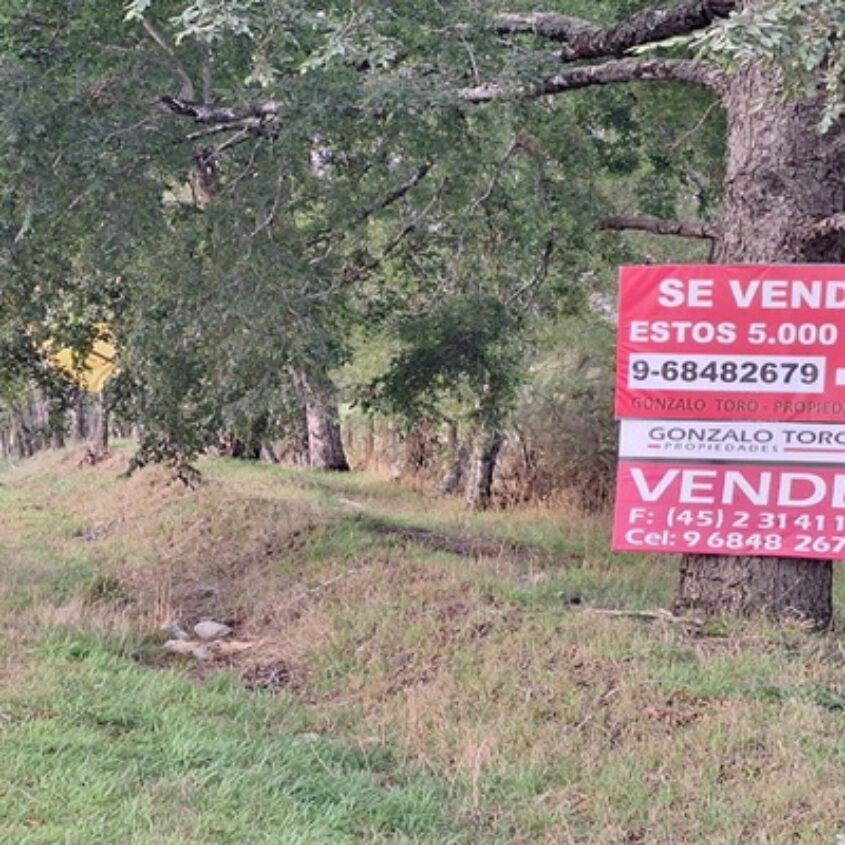 SE VENDE TERRENO ORILLA RUTA VILLARRICA A FREIRE, 5.000 M2.