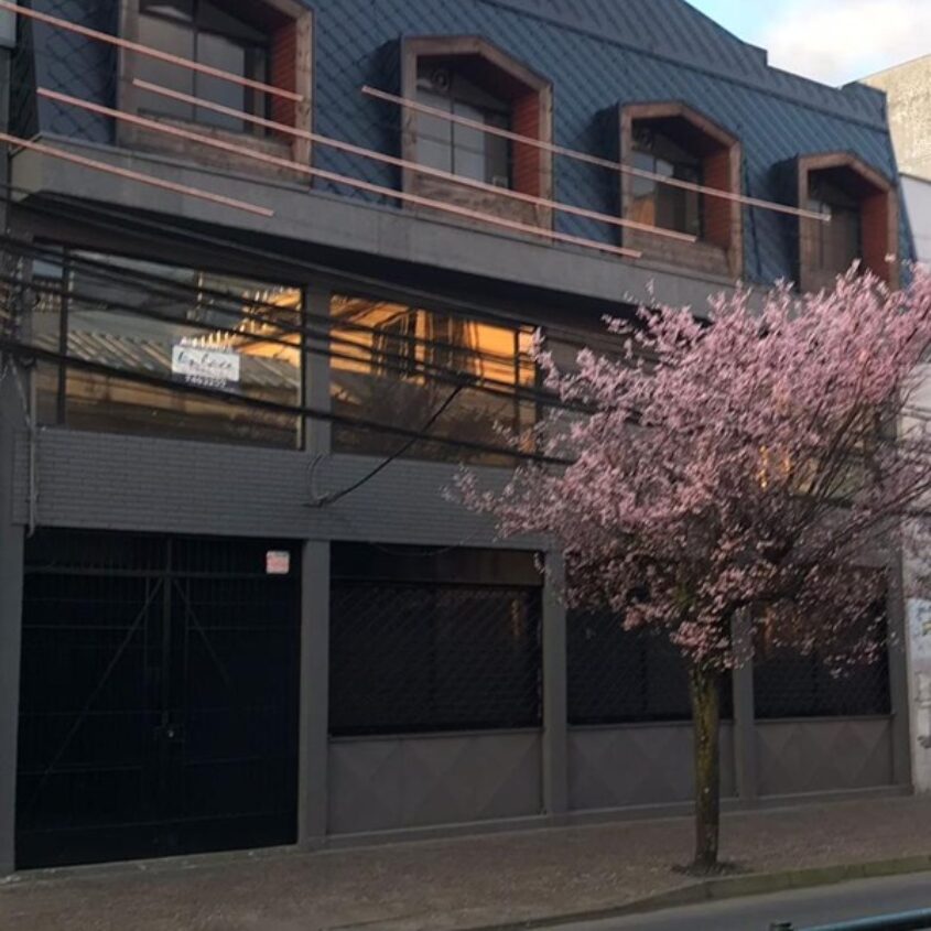 SE ARRIENDA EDIFICIO 460 M2, TOTAL Ó PARCIAL, TEMUCO