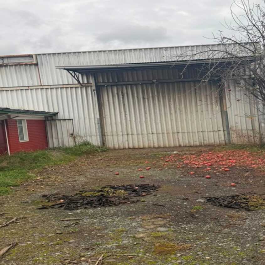 SE VENDE PROPIEDAD COMERCIAL SALIDA NORTE TEMUCO